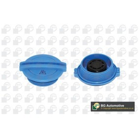 Köp Lock till expansionskärl av BGA CC3009 till det låga priset 61,25 kr