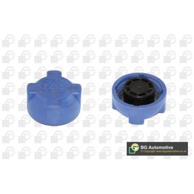 Köp Lock till expansionskärl av BGA CC3036 till det låga priset 83,49 kr