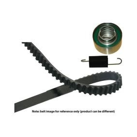Comprar Kit de correa de distribución de KAVO PARTS DKT-4513 a bajo precio de 45,57 €