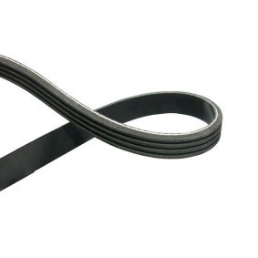 Achetez des Courroie Poly-V KAVO PARTS DMV-1530 à prix pour 22,28 €