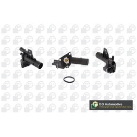 Riemenscheibe, Kurbelwelle DP1104 von BGA günstig für 111,63 € online kaufen