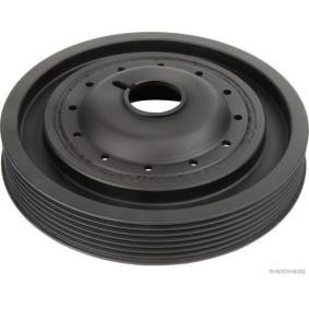 Achetez des Poulie damper (vilebrequin) HERTH+BUSS JAKOPARTS J1091010 à prix pour 59,99 €