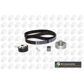 Steuerkettensatz TC1005K von BGA günstig für 117,43 € online kaufen