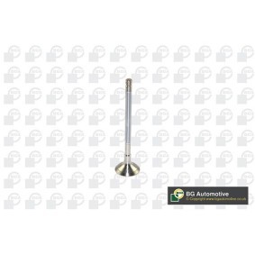 Auslaßventil V122042 von BGA günstig für 9,19 € online kaufen