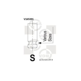 Comprar Válvula de escape de BGA V165391 a bajo precio de 9,29 €