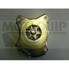 Compre Bomba de água da MOTAQUIP VWP851 a um preço baixo por 91,14 €