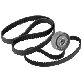 Acquista Kit cinghia di distribuzione da RIDEX 307T0252 a buon mercato per soli 47,75 €