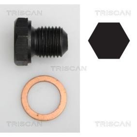 Verschlußschraube, Ölwanne 9500 2902 von TRISCAN günstig für 6,18 € online kaufen