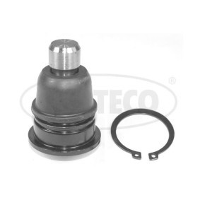 Osta Pallonivel CORTECO:llä 49398638 edullisesti hintaan 20,28 €
