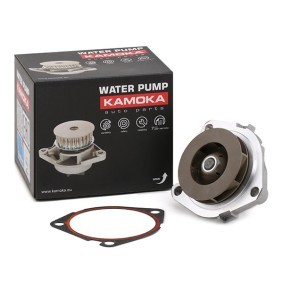 Achetez des Pompe à eau KAMOKA T0003 à prix pour 34,94 €
