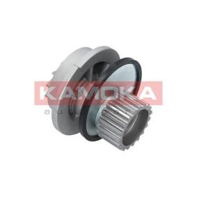 Achetez des Pompe à eau KAMOKA T0126 à prix pour 33,64 €