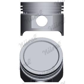 Compre Êmbolo da NÜRAL 87-436900-15 a um preço baixo por 51,77 €