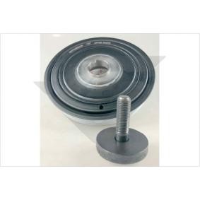 Acquista Kit pulegge, Albero motore / a gomito da HUTCHINSON DP018S a buon mercato per soli 107,90 €