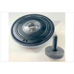 Acquista Kit pulegge, Albero motore / a gomito da HUTCHINSON DP028S a buon mercato per soli 90,47 €