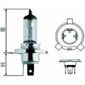 Achetez des Ampoule, projecteur longue portée DIEDERICHS LID10009 à prix pour 6,58 €