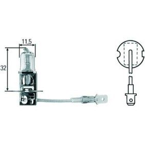 Achetez des Ampoule, projecteur longue portée DIEDERICHS LID10015 à prix pour 5,19 €
