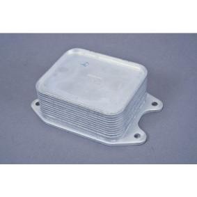 Comprar Enfriador de aceite de AUTOMEGA 210160810 a bajo precio de 30,47 €