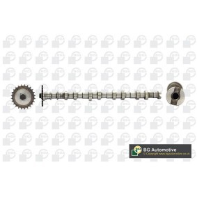Nockenwelle CS3600 von BGA günstig für 188,23 € online kaufen