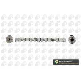 Nockenwelle CS3605 von BGA günstig für 119,25 € online kaufen
