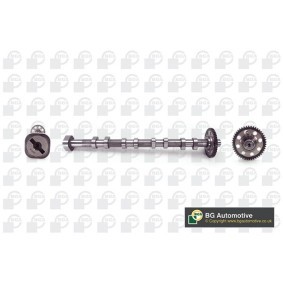 Nockenwelle CS4203 von BGA günstig für 110,46 € online kaufen