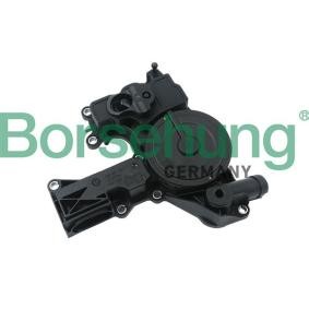 Comprar Separador de aceite, aireación cárter aceite de Borsehung B18479 a bajo precio de 85,88 €