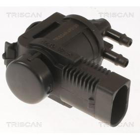 Achetez des Transmetteur de pression, contrôle des gaz d'échappement TRISCAN 8813 29072 à prix pour 34,00 €