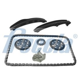 Steuerkettensatz TK08-1091 von FRECCIA günstig für 261,62 € online kaufen
