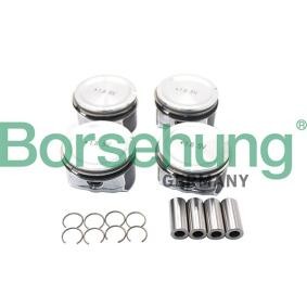 Kolben B18670 von Borsehung günstig für 243,60 € online kaufen