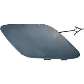 Klappe, Abschlepphaken 1808061 von DIEDERICHS günstig für 14,04 € online kaufen