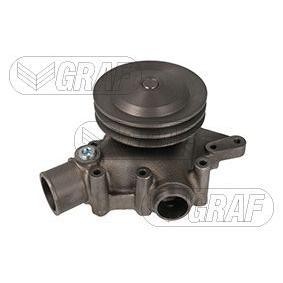 Acquista Pompa acqua da GRAF PA1390 a buon mercato per soli 303,11 €