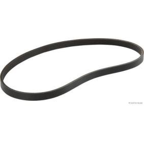 Keilrippenriemen J1042000 von HERTH+BUSS JAKOPARTS günstig für 8,27 € online kaufen