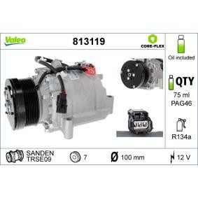 Acquista Compressore aria condizionata da VALEO 813119 a buon mercato per soli 261,80 €