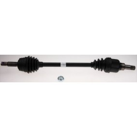 Antriebswellengelenk 300841 von LÖBRO günstig für 45,70 € online kaufen