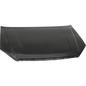 Achetez des Capot DIEDERICHS 5404800 à prix pour 297,75 €