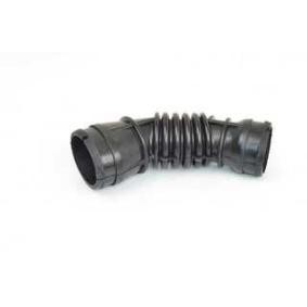 Acquista Tubo aspirazione filtro aria da BSG BSG 25-720-012 a buon mercato per soli 37,80 €