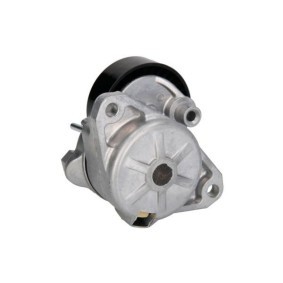 Riemenscheibe, Kurbelwelle E6R0008BTA von BTA günstig für 42,59 € online kaufen