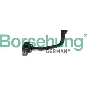 Comprar Válvula, ventilación cárter de Borsehung B19055 a bajo precio de 48,32 €