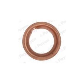 Acquista Anello di tenuta, vite di scarico olio da PAYEN KG5353 a buon mercato per soli 33,41 €