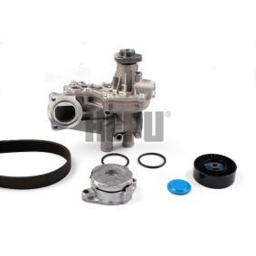 Comprar Bomba de agua + kit de correa poli V de HEPU PK051311 a bajo precio de 152,78 €