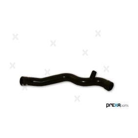 Schlauch, Zylinderkopfhaubenentlüftung P326035 von PREXAparts günstig für 10,62 € online kaufen