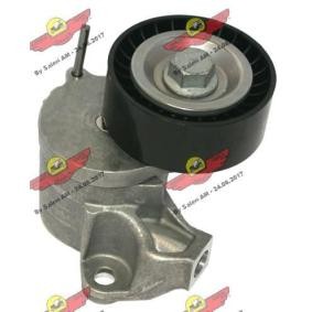 Comprar Polea tensora, correa poli V de AUTOKIT 03.82085 a bajo precio de 96,77 €