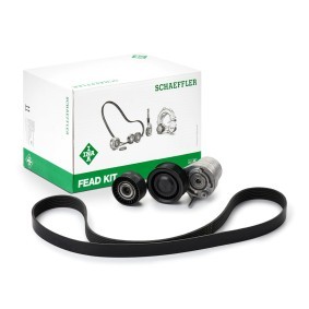 Comprar Juego de correas trapeciales poli V de INA 529 0313 10 a bajo precio de 61,63 €
