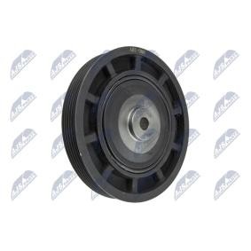 Comprar Polea de cigüeñal de NTY RKP-RE-006 a bajo precio de 40,57 €
