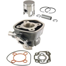 Køb Cylindersæt, motor af RMS 10 008 0050 til den lave pris 1096,40 DKK