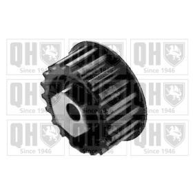 Acquista Rullo tenditore, cinghia dentata da QUINTON HAZELL QTT169 a buon mercato per soli 32,66 €