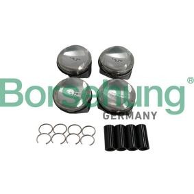 Kolbensatz B19151 von Borsehung günstig für 320,75 € online kaufen