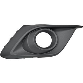 Lüftungsgitter, Stoßfänger 5620046 von DIEDERICHS günstig für 14,04 € online kaufen