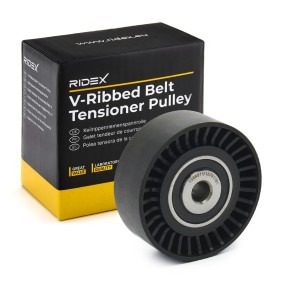 Comprar Polea inversión / guía, correa poli V de RIDEX 312D0094 a bajo precio de 26,75 €