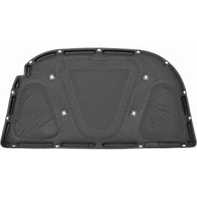 Motorraumdämmung 8810260 von DIEDERICHS günstig für 45,83 € online kaufen