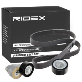 Acquista Kit Cinghie Poly-V da RIDEX 542R0221 a buon mercato per soli 63,96 €
